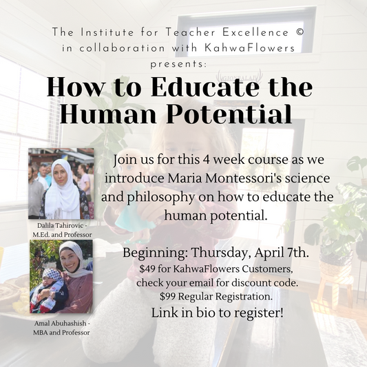 Educating the Human Potential Course